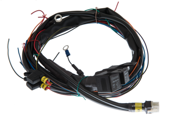 E33 - (10 - Way) Harness
