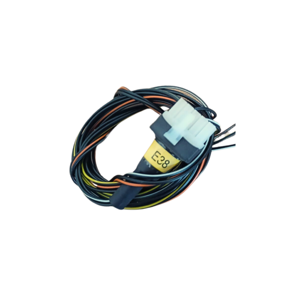 E38-P2 Output Harness