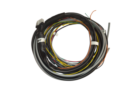 E60-P1 Crank Cam Input Harness