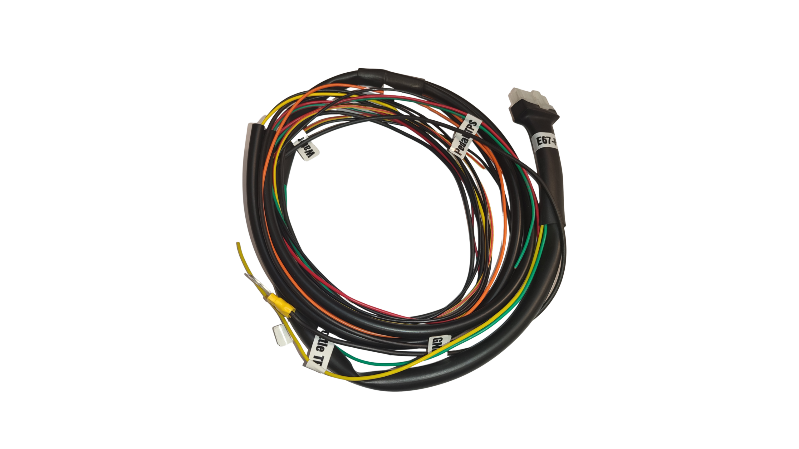 E67_P1 TxW Input Harness