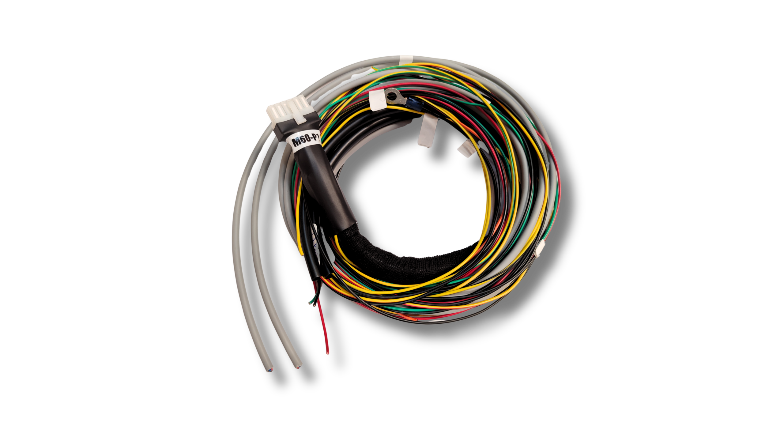 M60_P1 Crank Cam Input Harness