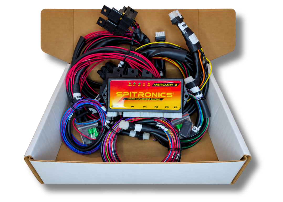 BMW 740 M60 non-VANOS 8 Cyl (60-2) 8x Basic Coils COP - ECU Kit