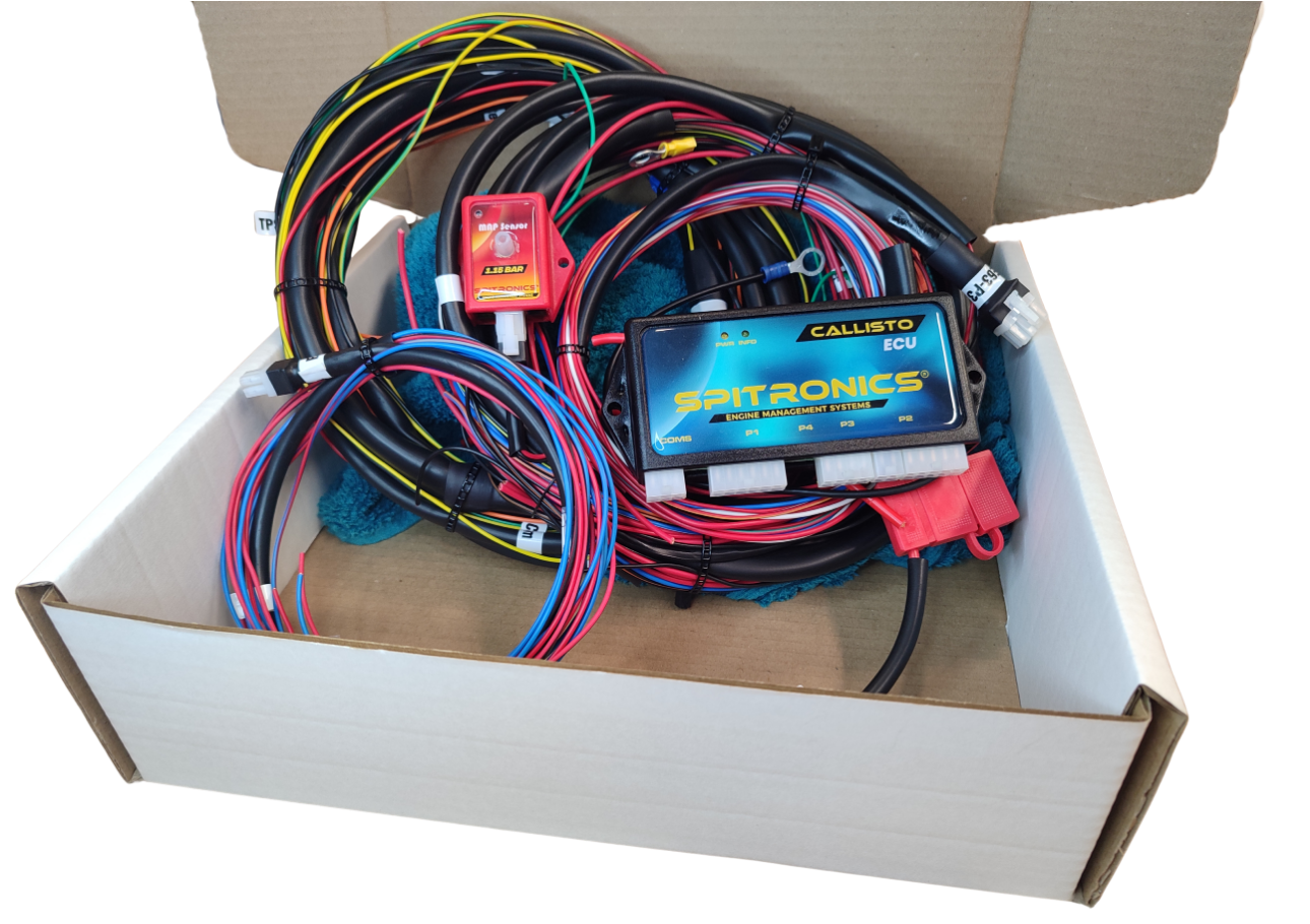 Universal ECU Kit - 12 Cylinder - (36-2) Trigger - 6x Basic Coils COP