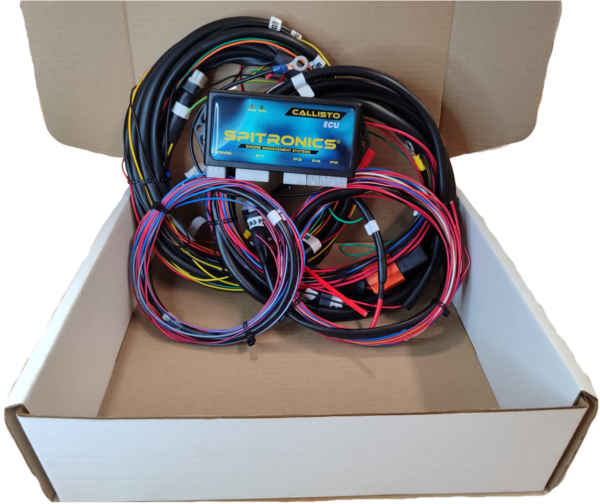 Audi 2.6 AAH 6 Cyl (60-2) 6x Basic Coils COP – ECU Kit